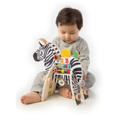Activity Center Zebra