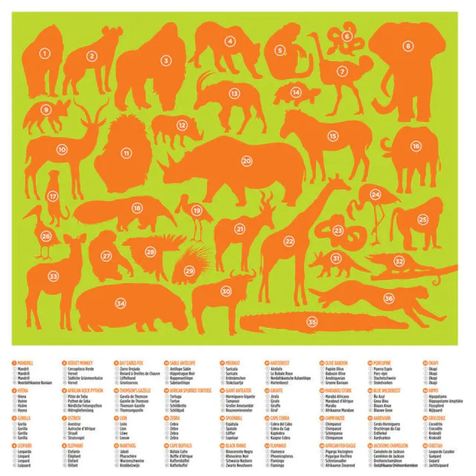 36 Animal Puzzle 100 pc - Wild Animals