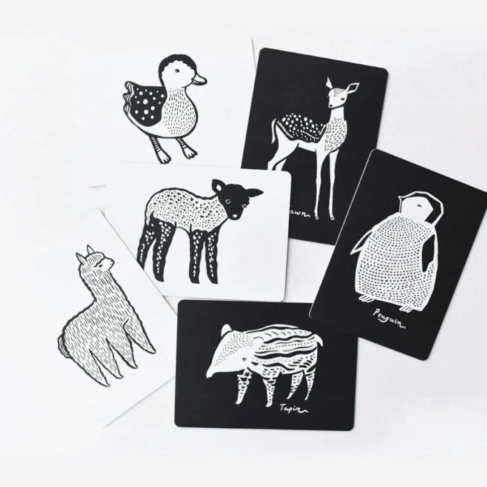 Art Cards for Baby - Baby Animals