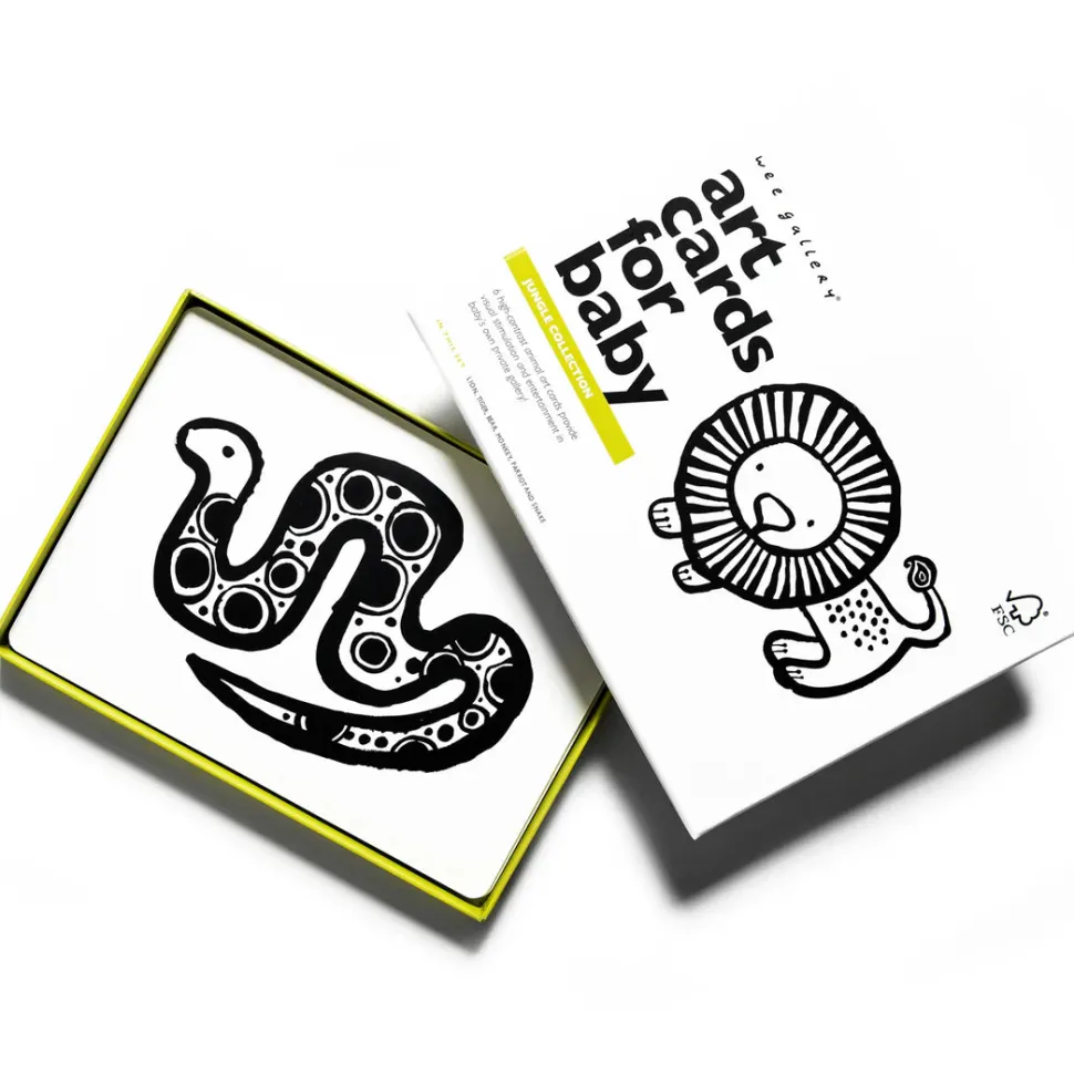 Art Cards for Baby - Jungle