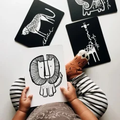 Art Cards for Baby - Jungle