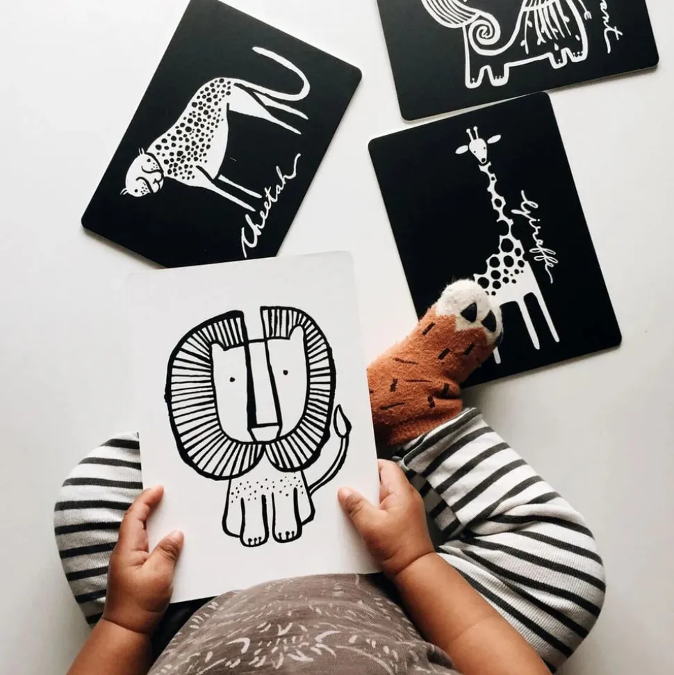 Art Cards for Baby - Jungle