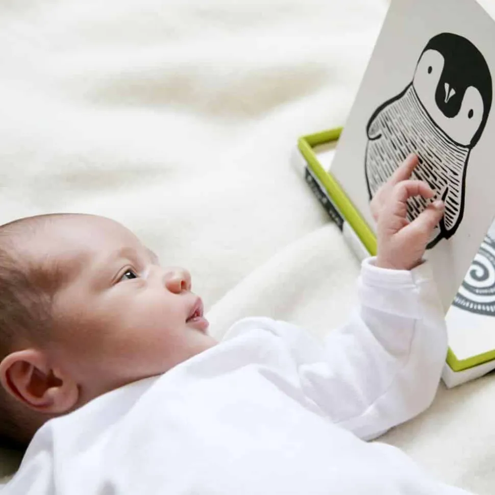 Art Cards for Baby - Jungle