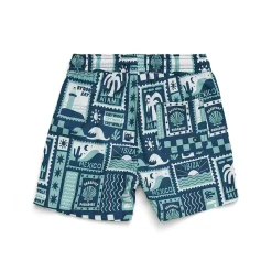 Board Shorts VARIOUS STYLES
