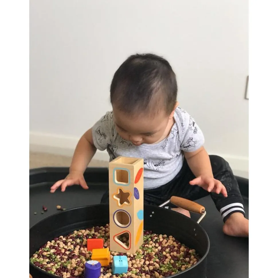 Boitabasic Shape Sorter