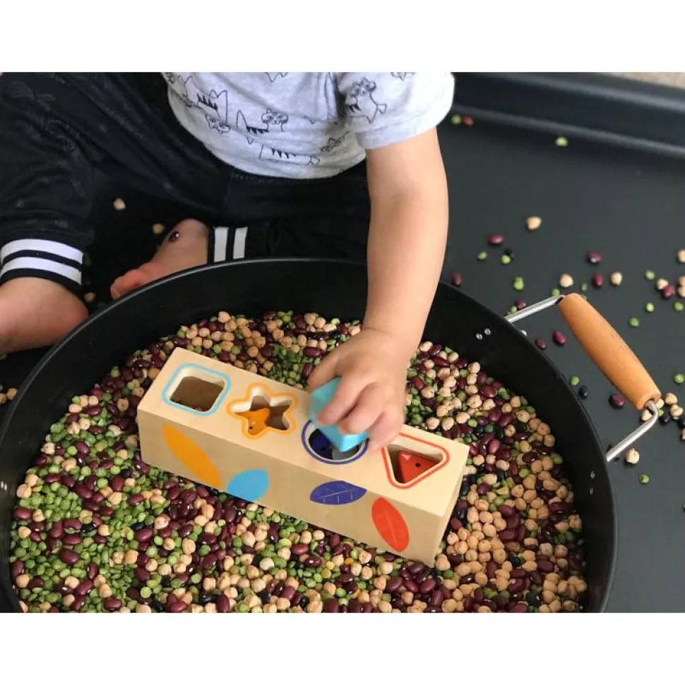 Boitabasic Shape Sorter