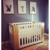 COCOON Evoluer 4 in 1