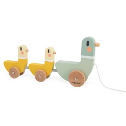 Cocoon Pull Along Ducks