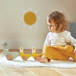 Cocoon Pull Along Ducks