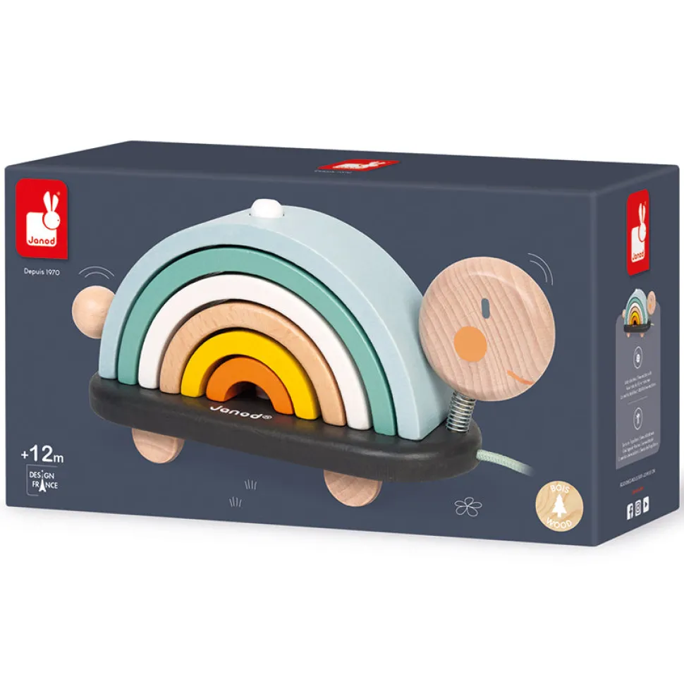 Cocoon Rainbow Turtle
