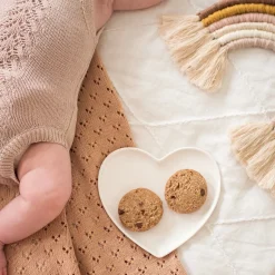 Dark Chocolate Chip Lactation Cookies
