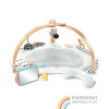 Discoverosity Deluxe Activity Gym