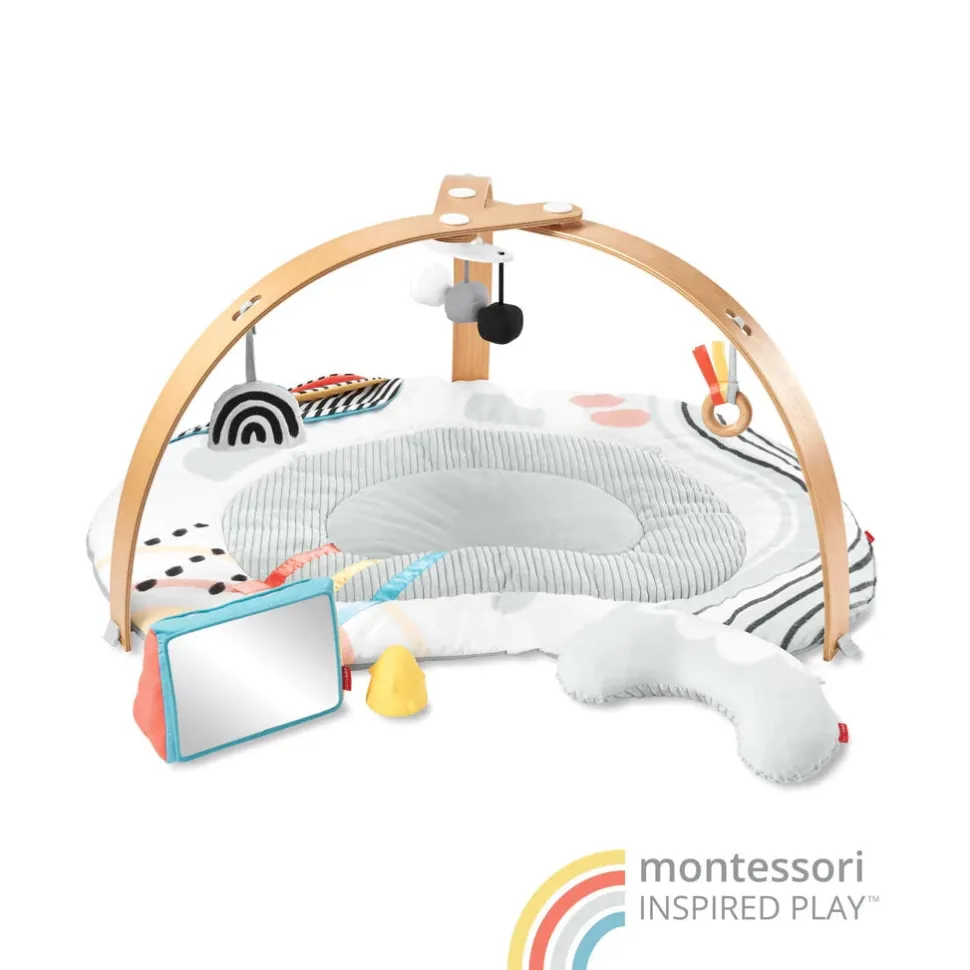 Discoverosity Deluxe Activity Gym