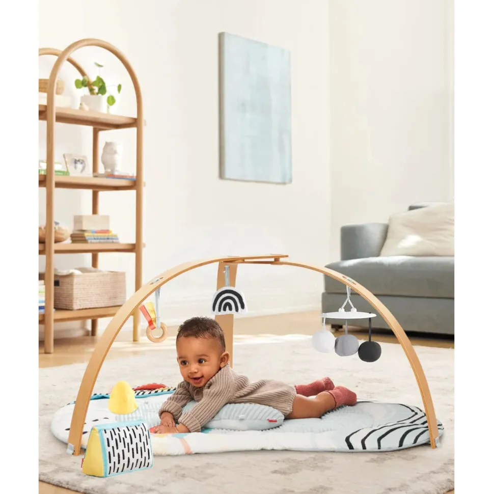 Discoverosity Deluxe Activity Gym