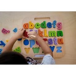 Handcarry Lowercase abc Trace Puzzle