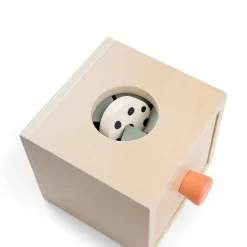 Hide and Find Box - Nozo
