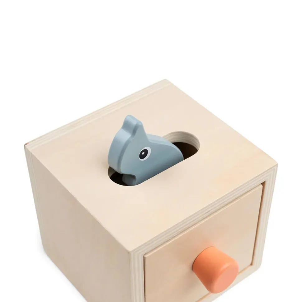 Hide and Find Box - Nozo