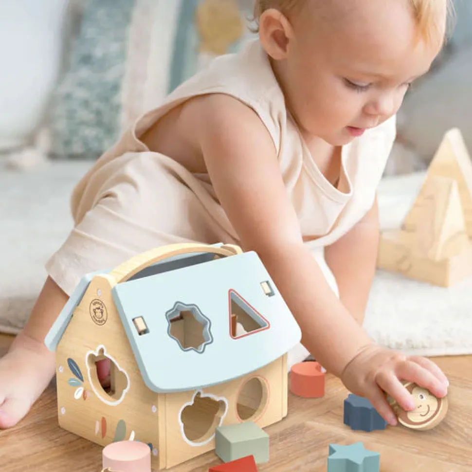 House Shape Sorter With 8 Blocks