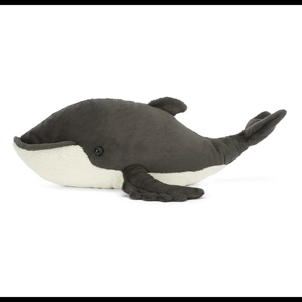 Humphrey the Humpback whale