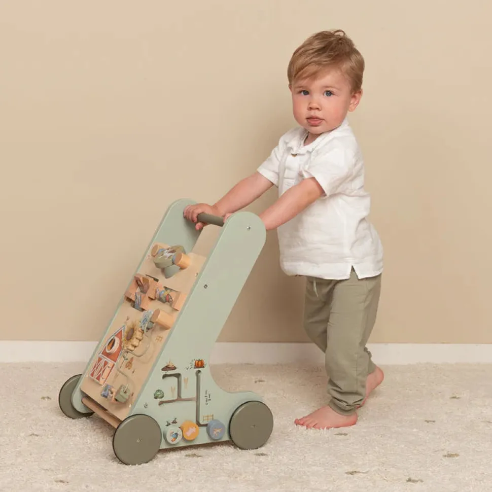Little Farm Multi-Activity Baby Walker