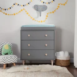 Lolly Changer/ Dresser