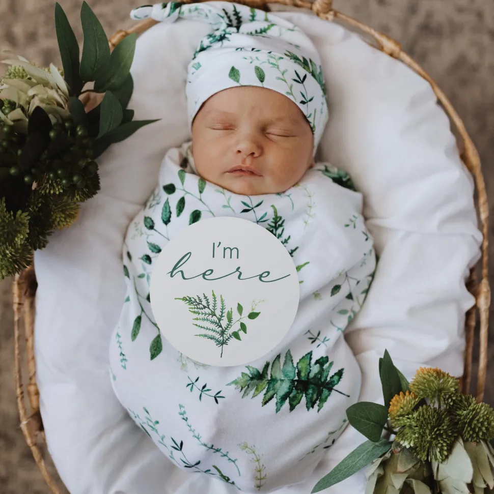 Milestone Cards - Enchanted & Olive