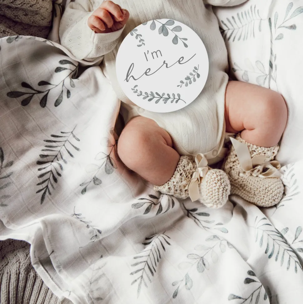 Milestone Cards - Wild Fern & Grey