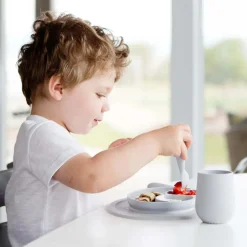 Mini Feeding Set - Pewter
