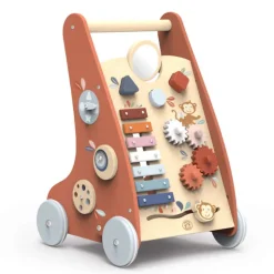 Multi Activity Push Toy - Activity Walker