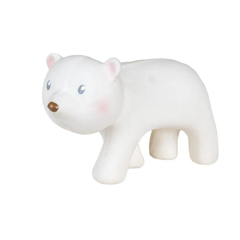 My First Arctic Animals VARIOUS STYLES