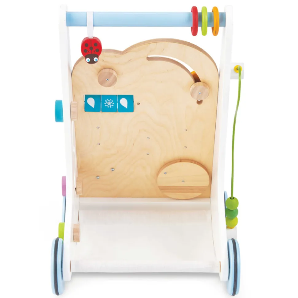Petitlou Activity Walker