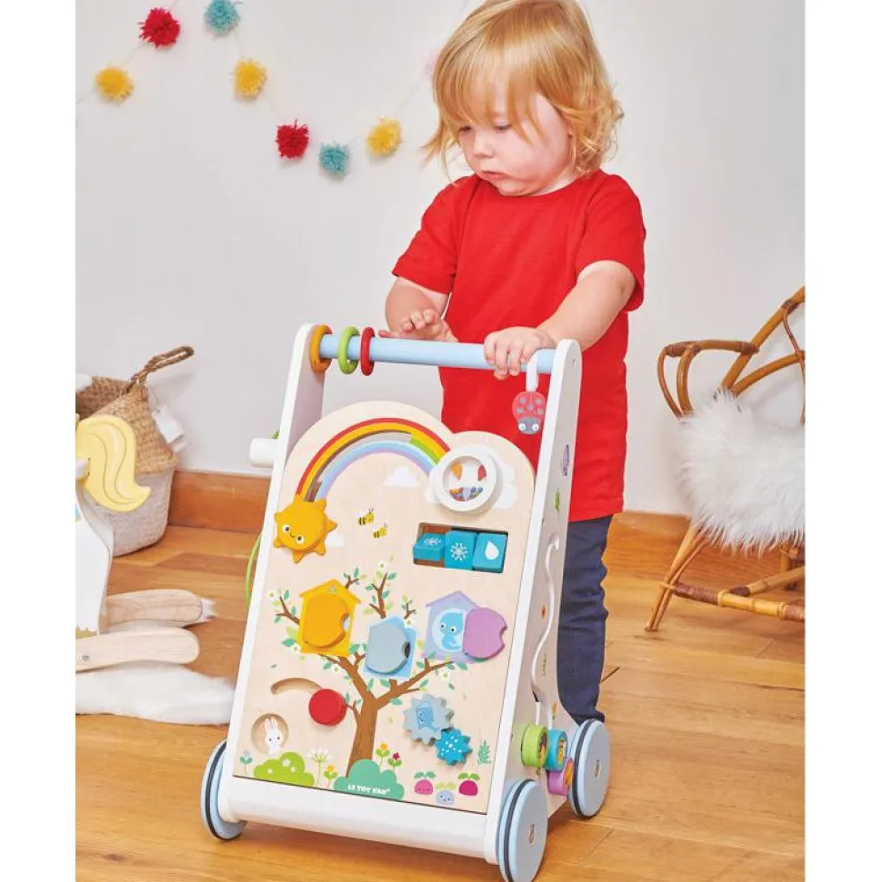 Petitlou Activity Walker
