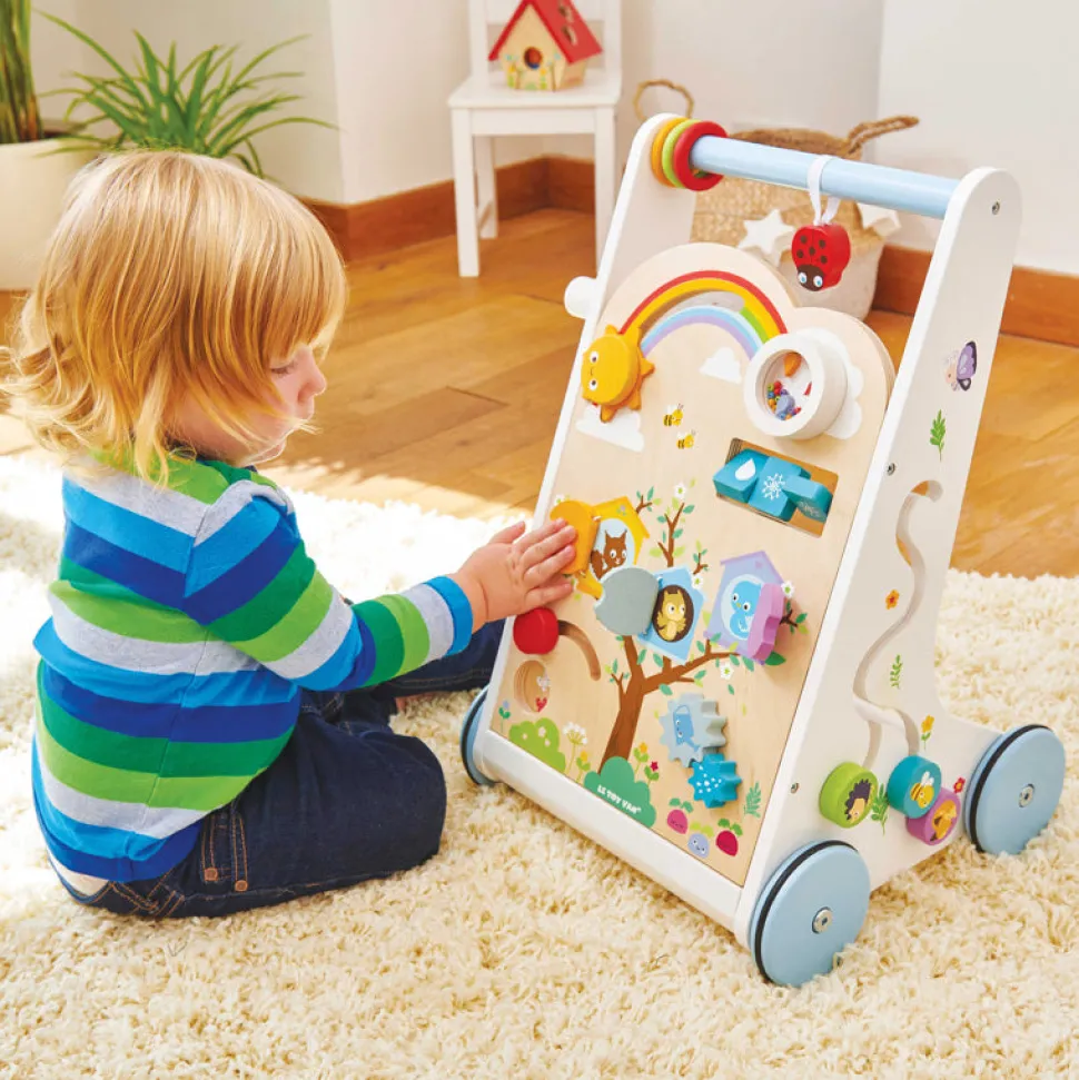 Petitlou Activity Walker