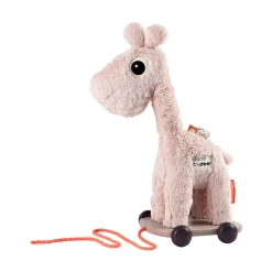 Pull Along & Soft Toy - Raffi Powder