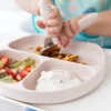 Silicone Grip Dish VARIOUS COLOURS