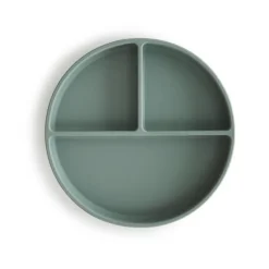 Silicone Plate VARIOUS COLOURS