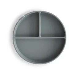 Silicone Plate VARIOUS COLOURS
