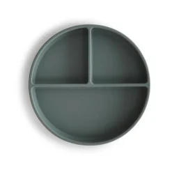 Silicone Plate VARIOUS COLOURS