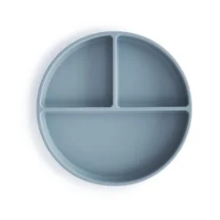 Silicone Plate VARIOUS COLOURS