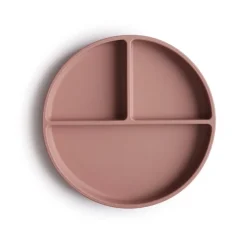 Silicone Plate VARIOUS COLOURS