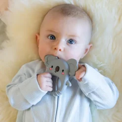 Silicone Teether - Koala