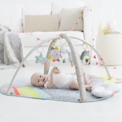 Silver Lining Cloud Activity Gym