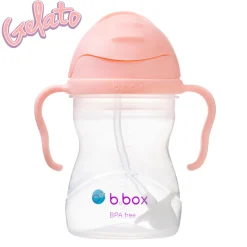 Sippy Cup - Tutti Frutti