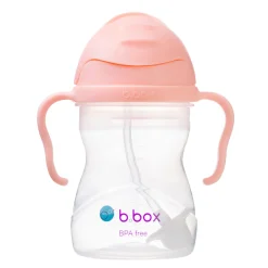 Sippy Cup - Tutti Frutti