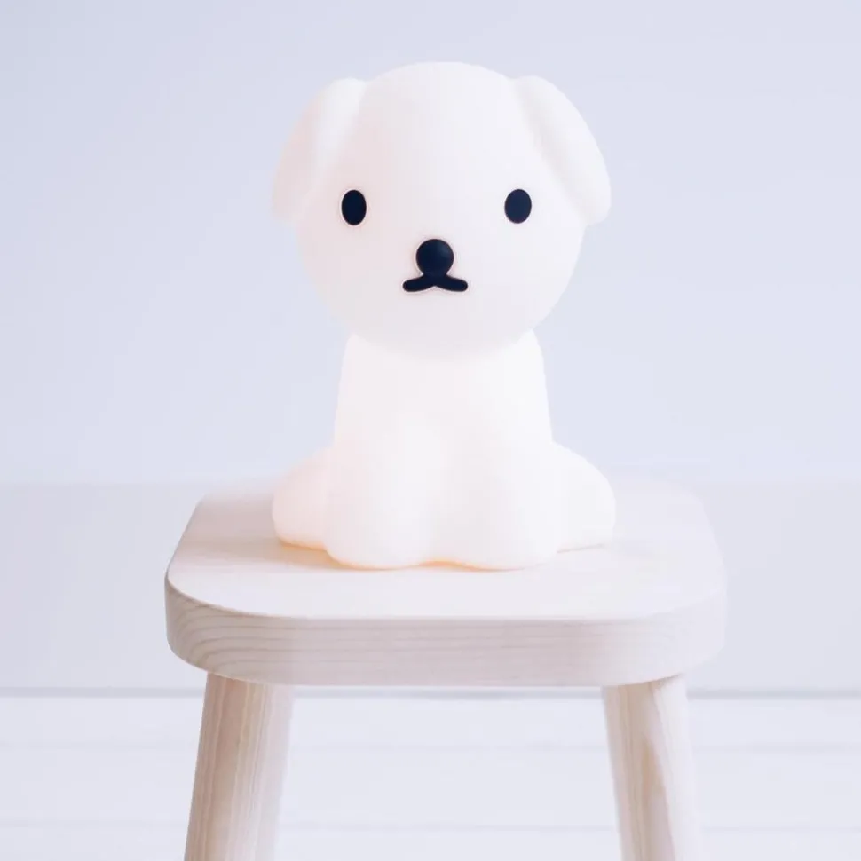 Snuffy First Light - Miffy's Dog