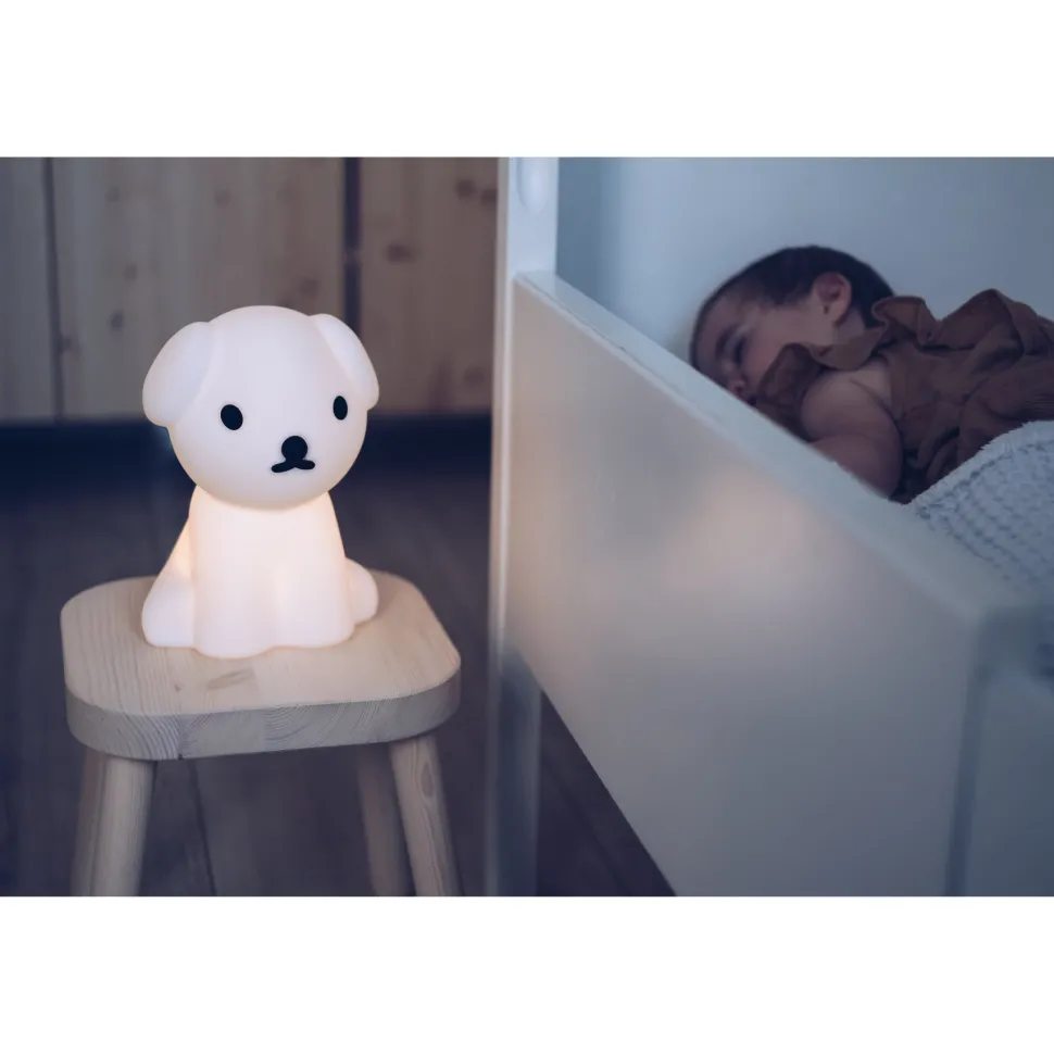 Snuffy First Light - Miffy's Dog