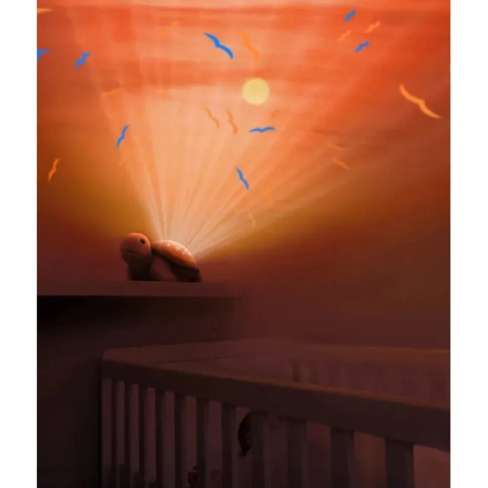 Sunset Projector - Tim