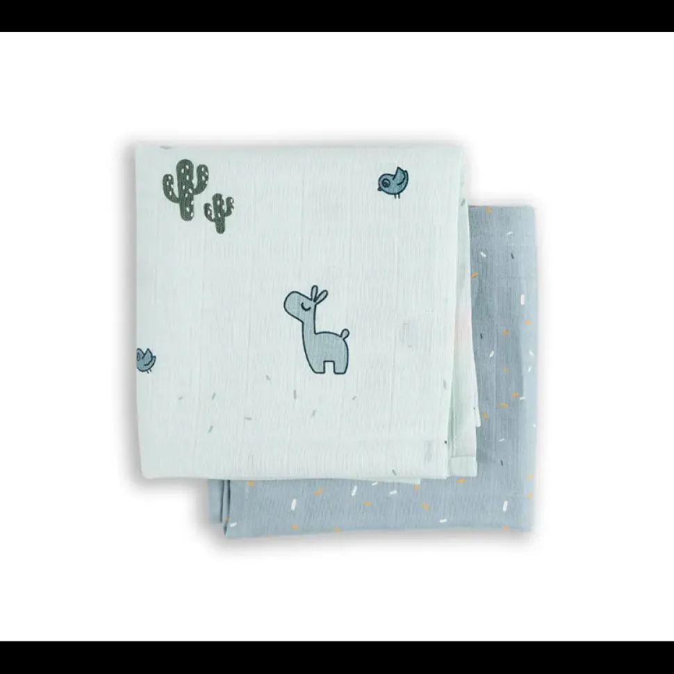 Swaddle 2 Pack – Lalee