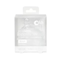 Teat 2 pack - Fast Flow 6m+
