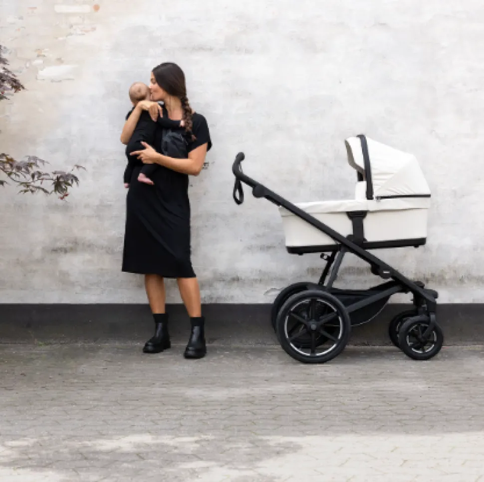 Thule Urban Glide 4-Wheel